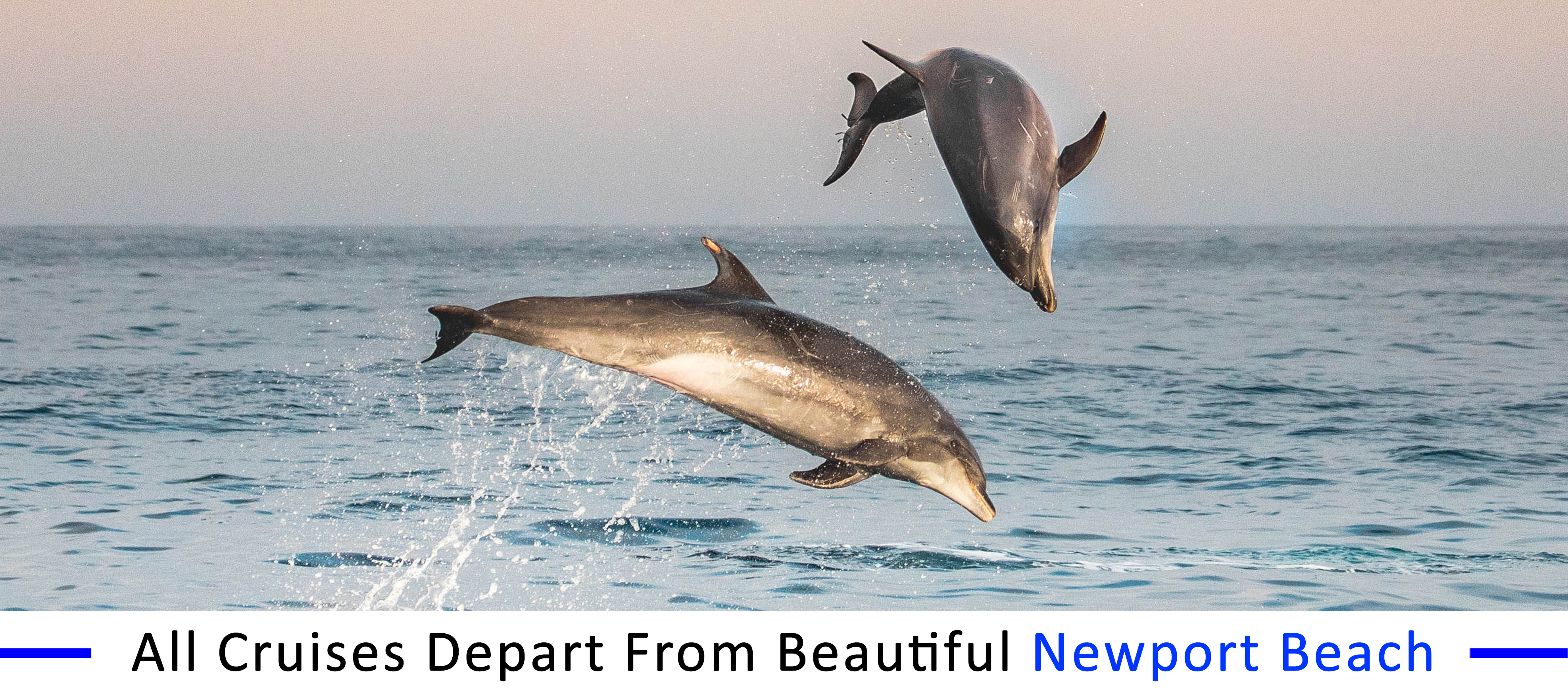inexpensive-boat-rentals-Redondo-beach